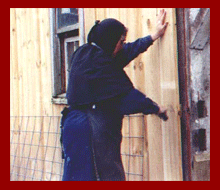 a woman fixing the barn